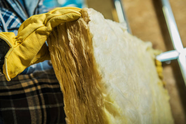 Best Insulation Maintenance and Repair in Green Cove Springs, FL