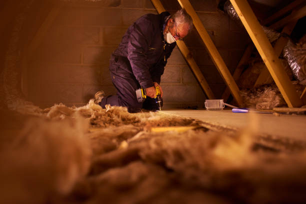 Best Eco-Friendly Insulation in Green Cove Springs, FL