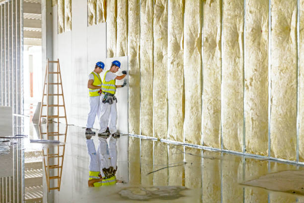 Best Specialized Insulation Services in Green Cove Springs, FL